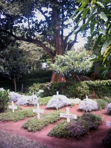 ... i primi piccoli ospiti del Centro.