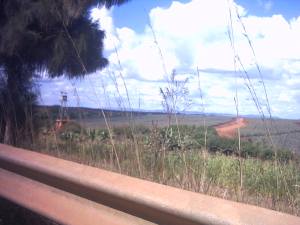 Thika, tre ore di strada a nord di Nairobi. le famose e discusse piantagioni di ananas Del Monte, già al centro di azioni di boicottaggio. Il perimetro dell'enorme piantagione è sorvegliato da torrette di guardia (si intravede sulla sinistra).