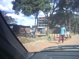 Thika: ad ogni angolo di strada, bancarelle che vendono ananas.